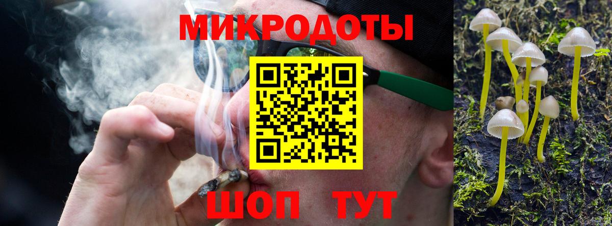 Казань  Галлюциногенные грибы прущие грибы  Вход с VPN 